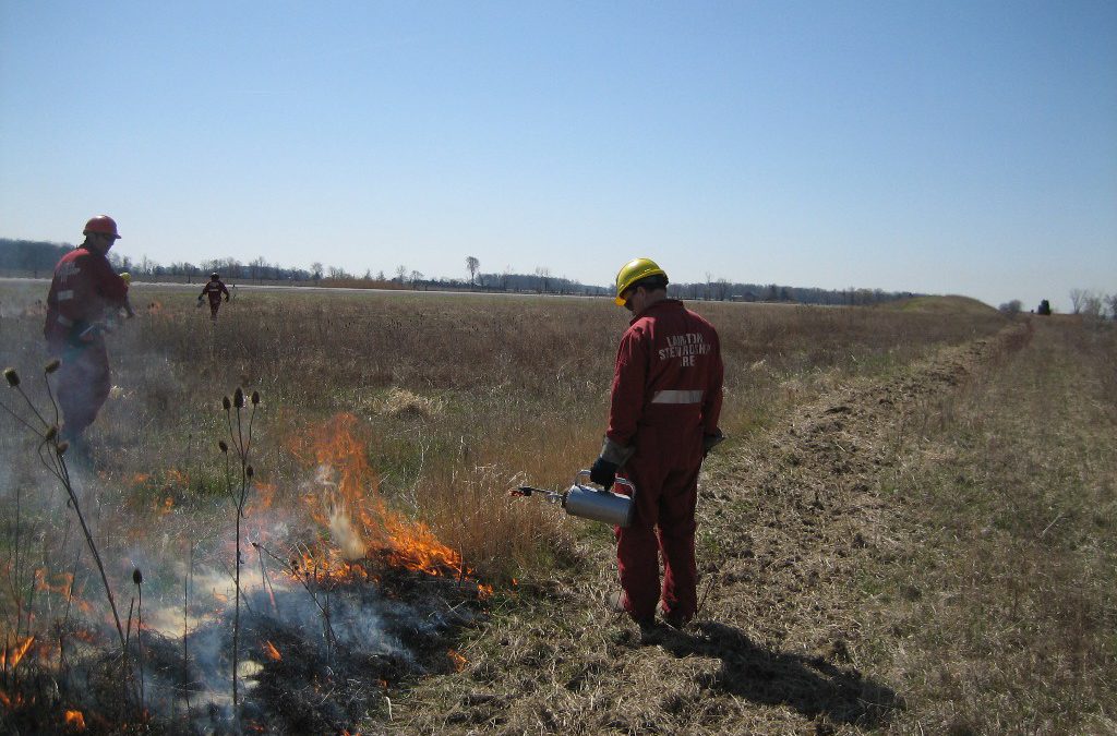 Prescribed Burning