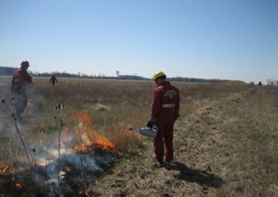 Prescribed Burning