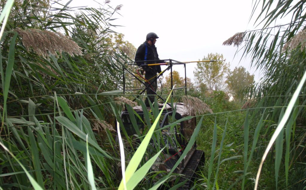 Invasive Species Management
