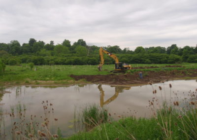 Wetland Creation