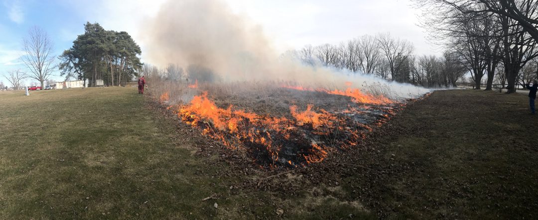 Branton Cundick Prescribed Burn