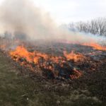 Branton Cundick Prescribed Burn